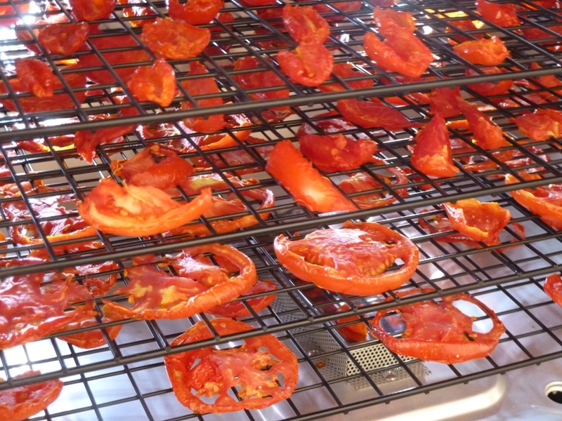 Dehydrating Tomatoes from your garden Smokin' Pete's BBQ